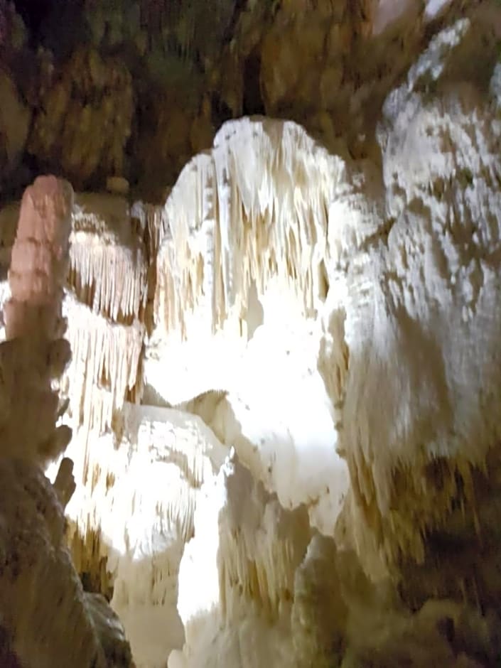 Residence Via Benamati