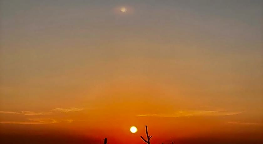 Sunshine on the rock