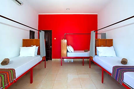 Bunk Bed in Female Dormitory Room