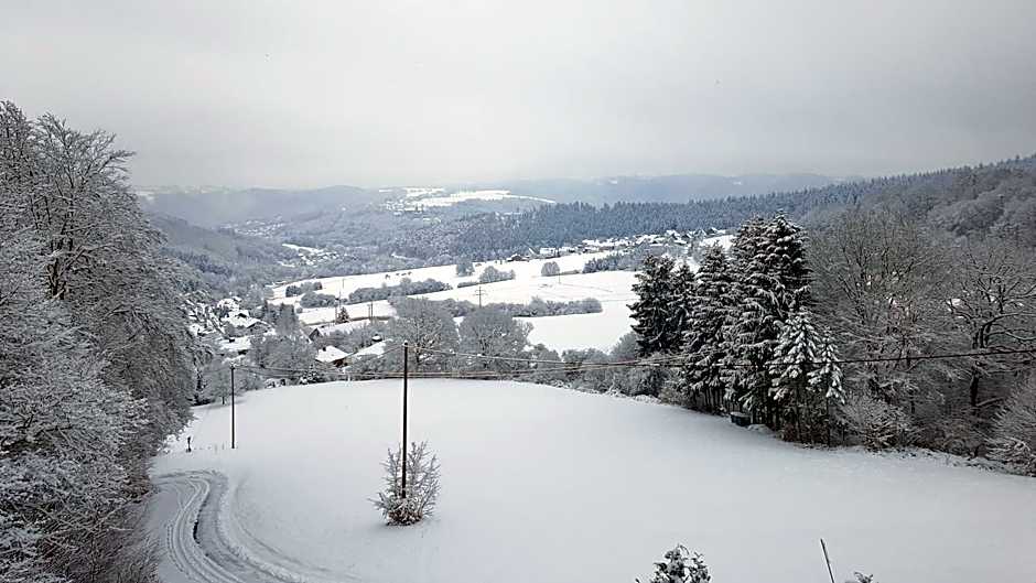 Hotel Zur Engelsburg