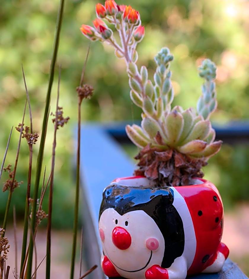 Friends at McLaren Vale