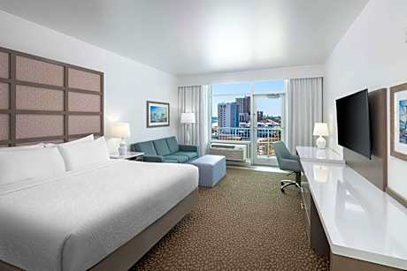 Accessibility - 1 King, Roll-in Shower, Sofabed, View, Balcony, Nonsmoking