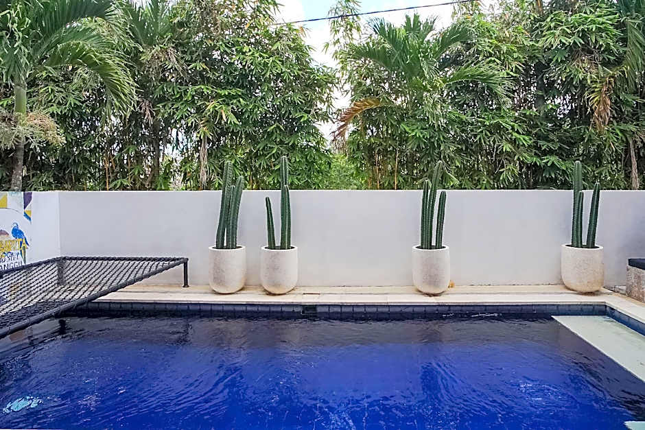Margarita Surf Hostel Canggu