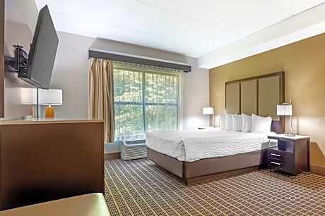 1 King Bed, Suite, Non-Smoking