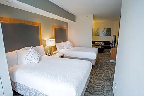 Double Studio with Sofa Bed