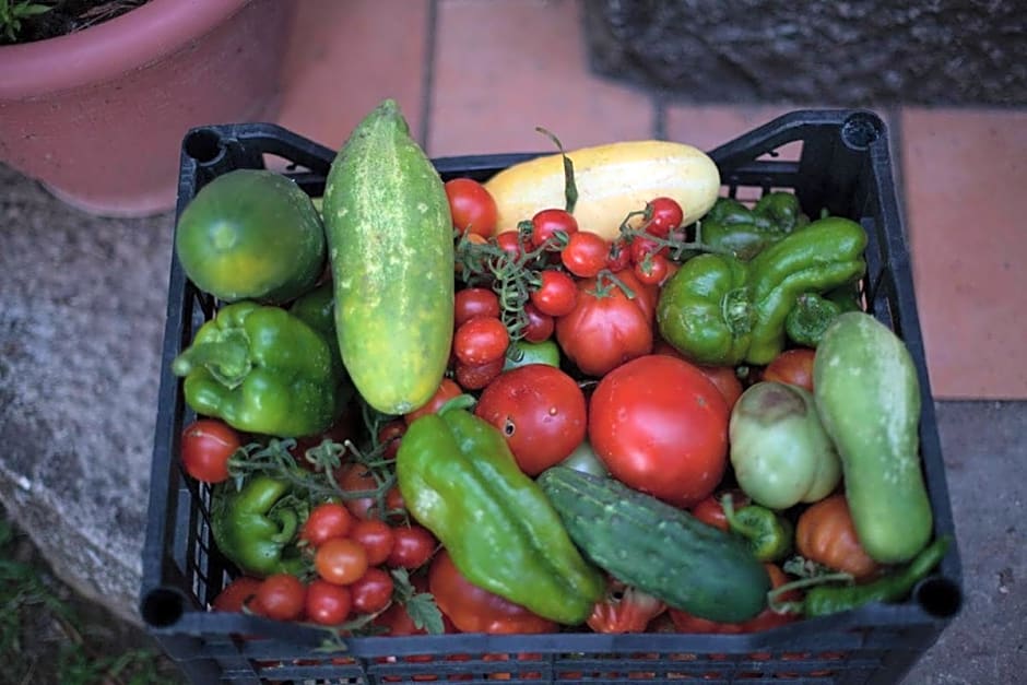 Fattoria La Tana della Volpe