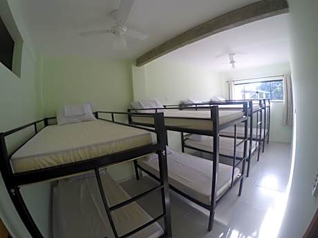Bunk Bed in Mixed Dormitory Room