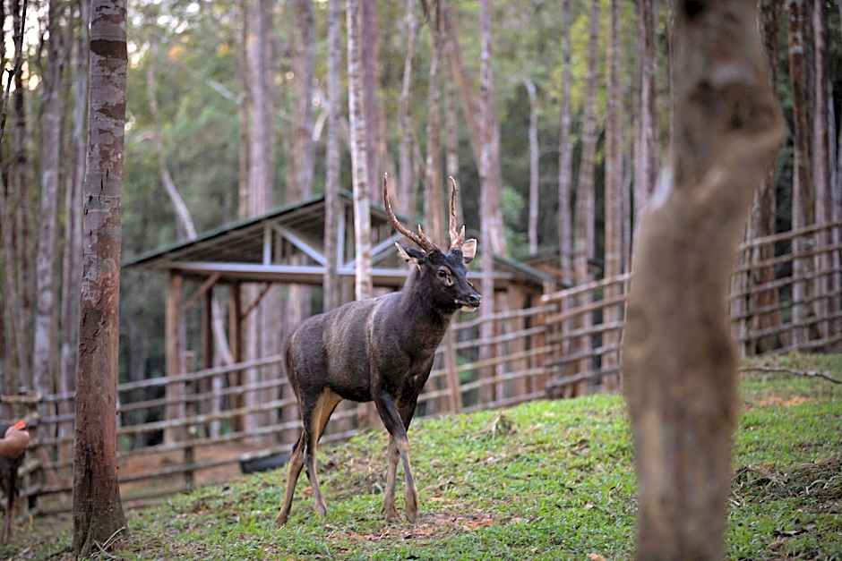 Panbil Residence Serviced Apartment