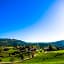 Hotel-Restaurant Sennhütte im Herzen des Südschwarzwalds