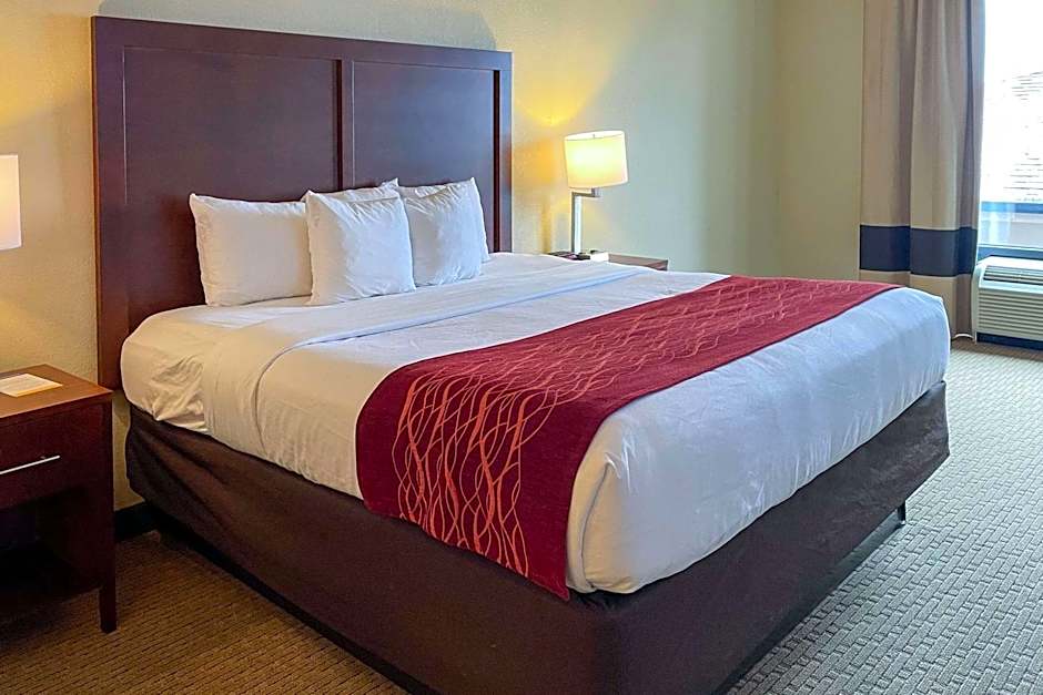 Comfort Inn & Suites Rogersville