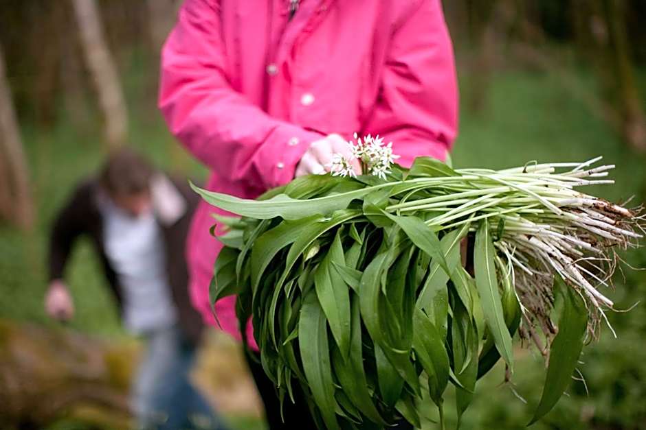 The Lovat, Loch Ness
