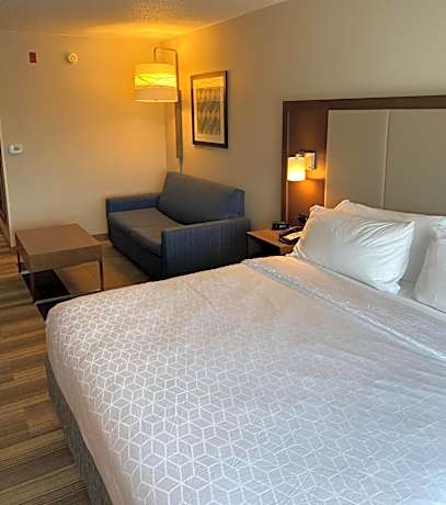 One-Bedroom King Suite