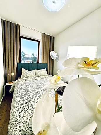 Standard Double Room with Shared Bathroom