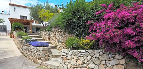 Mas Rosich
