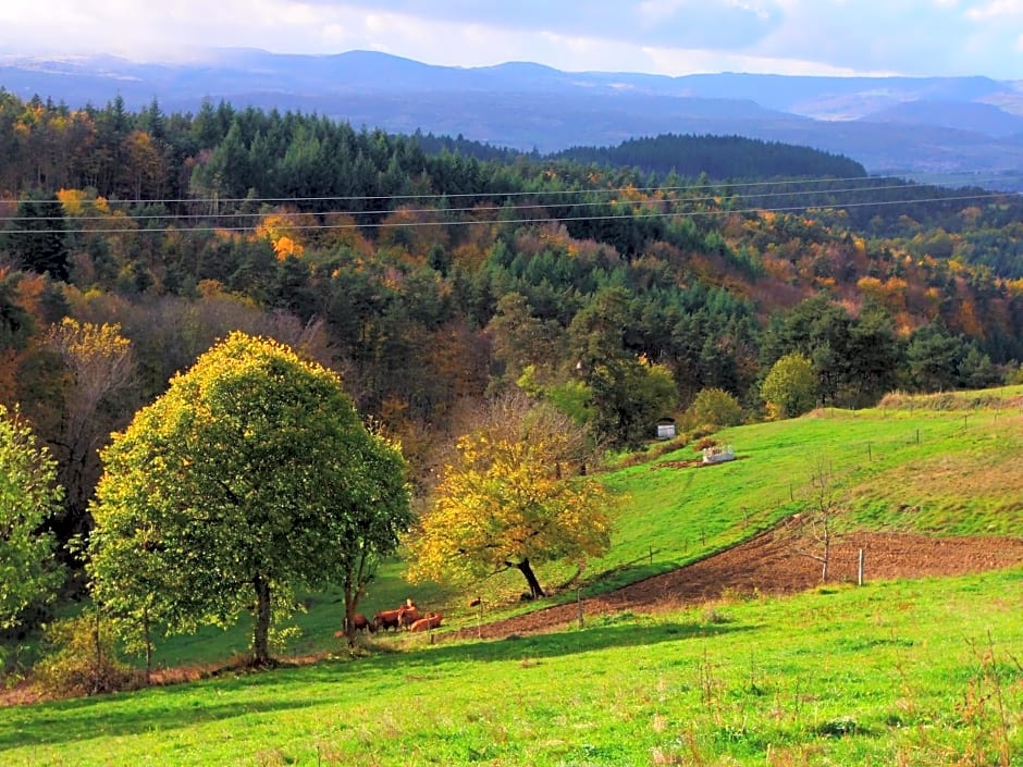 Le Vallon d'Armandine, gîte écologique Auvergne