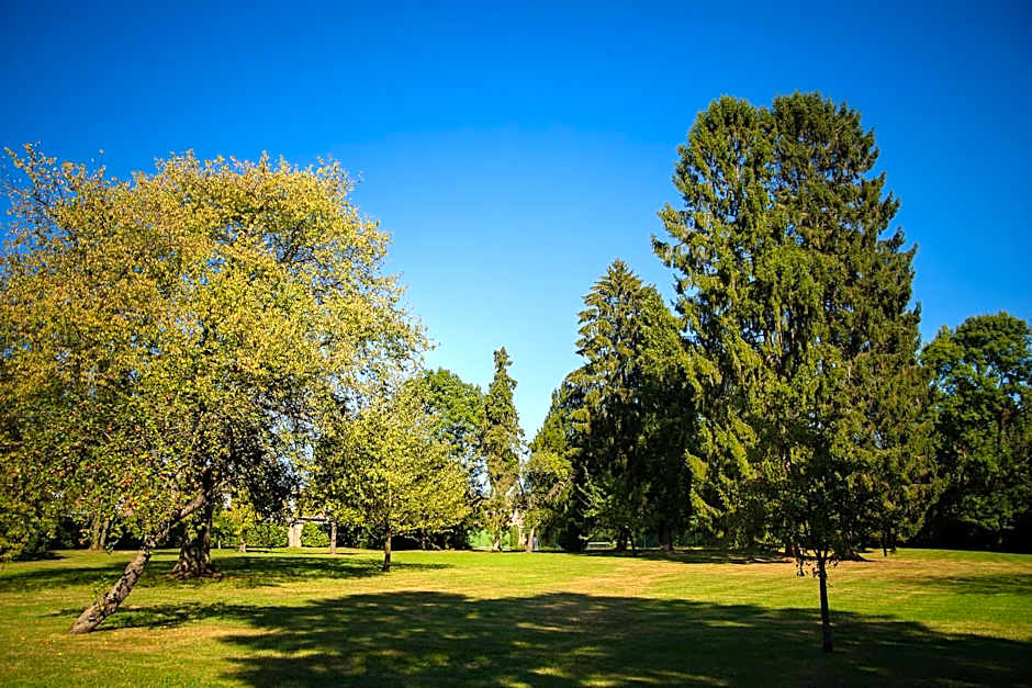 Hôtel Château de la Marlière