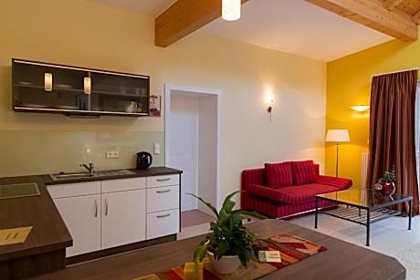 Studio with Terrace