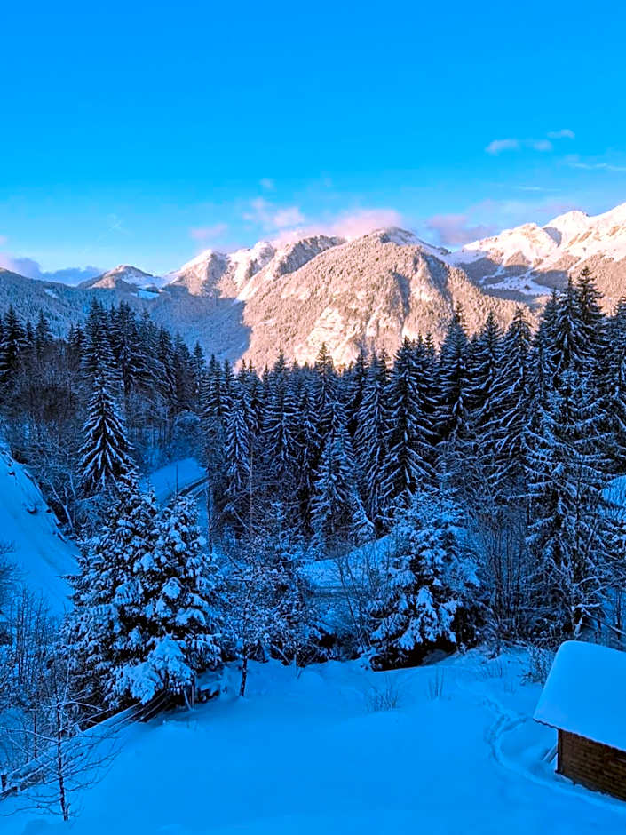 Alpine 1 bed Chalet with beautiful views
