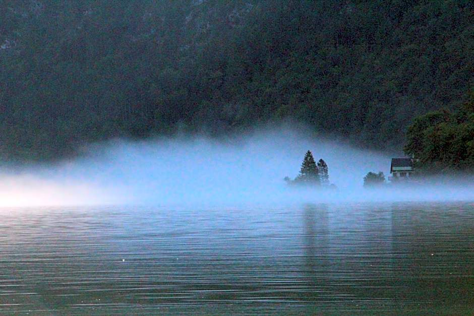 Seehotel Grüner Baum