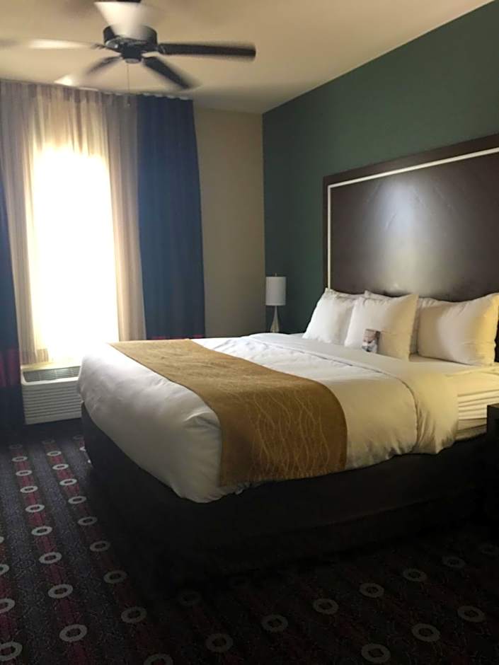Comfort Inn & Suites San Marcos near Outlet Mall