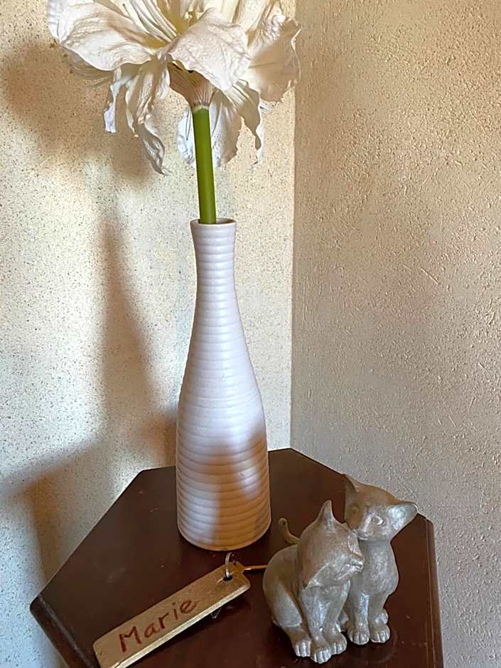 Maison d'hôtes & Gîtes Domaine de la Garaye