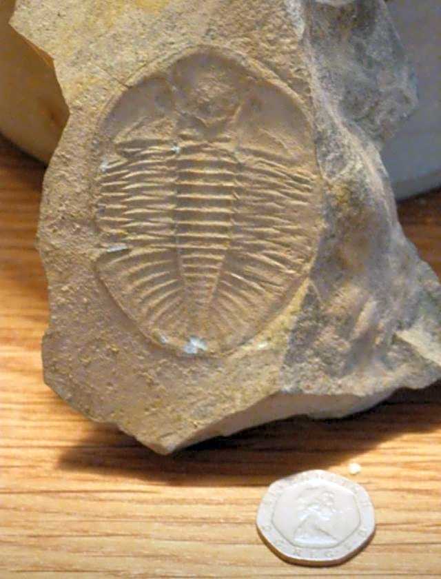 Upper Gilwern Quarry Hut