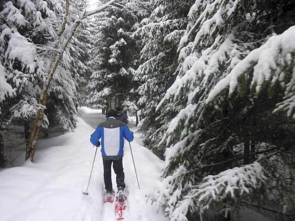 AKZENT Hotel Bayerwald-Residenz