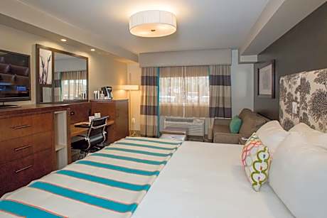 Deluxe King Accessible: Roll-In Shower