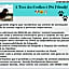Pousada Toca dos Coelhos - Ambiente Zen, Natureza e Terapias