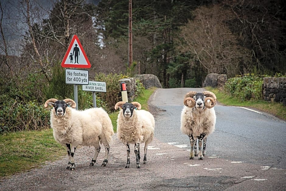 Innes House Bed & Breakfast