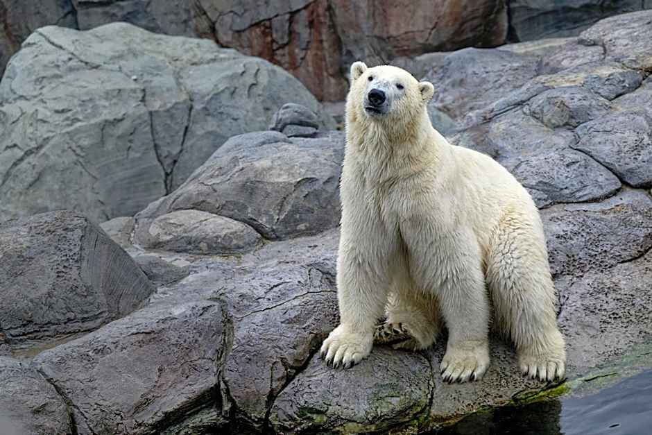 Holiday Inn Express and Suites Calgary University By IHG