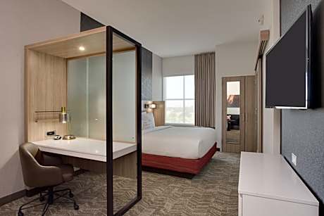 Suite, 1 King, Trundle bed