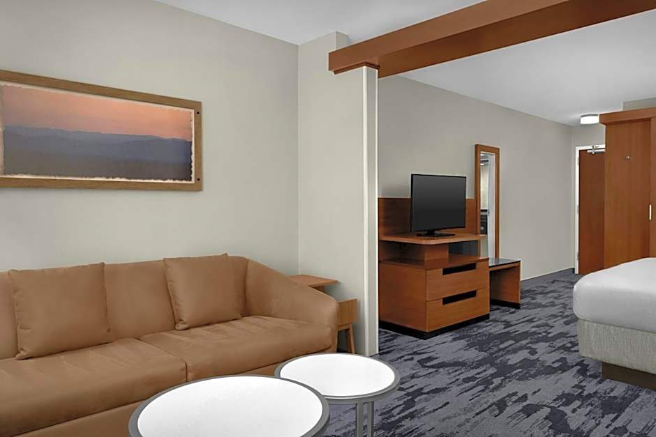 Fairfield Inn & Suites by Marriott Atlanta Lithia Springs