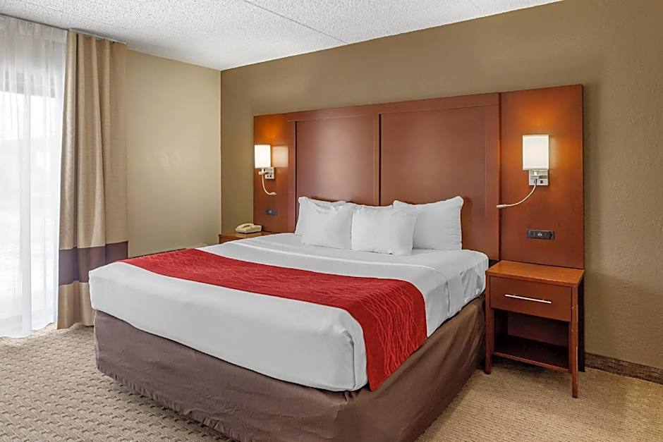 Comfort Inn & Suites Rochelle - DeKalb