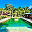Jungle Paradise
