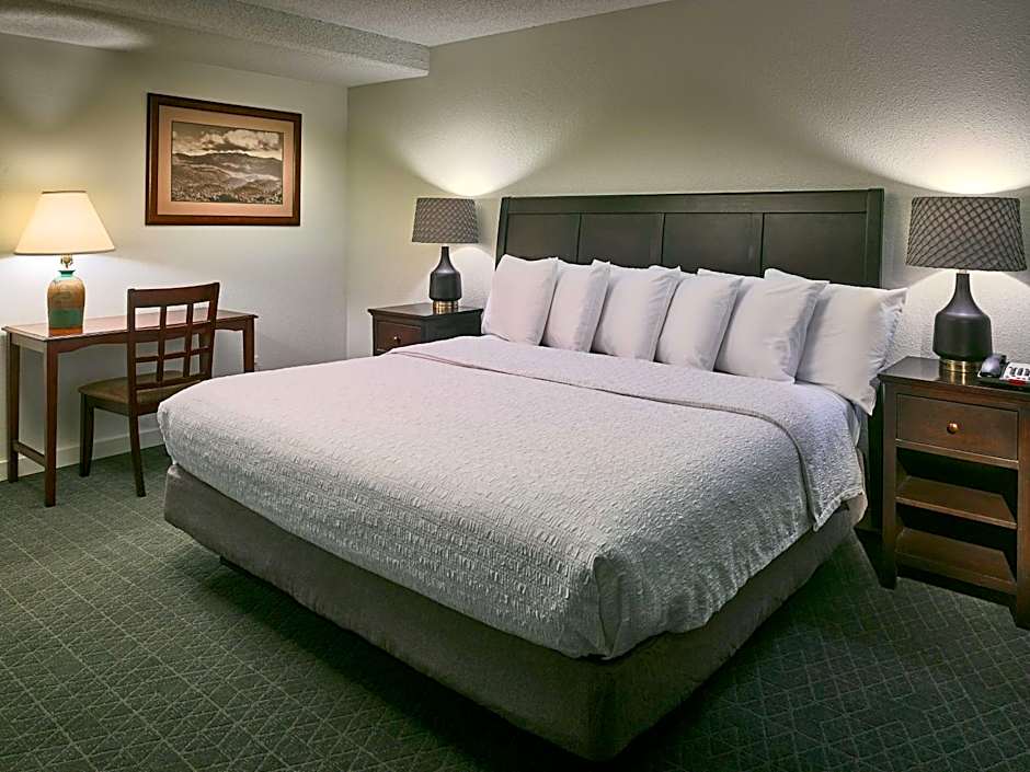 Hampton Inn By Hilton Gatlinburg
