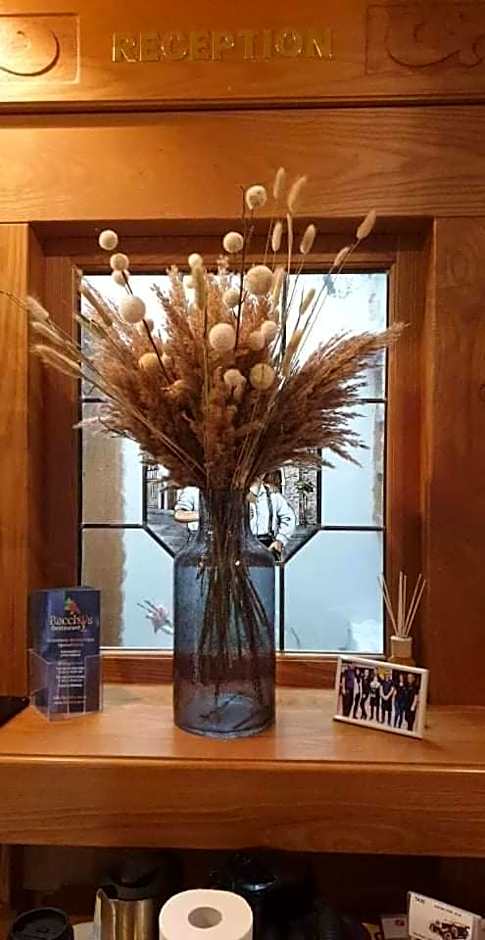 Hotel Restaurant Paelzer-Buwe