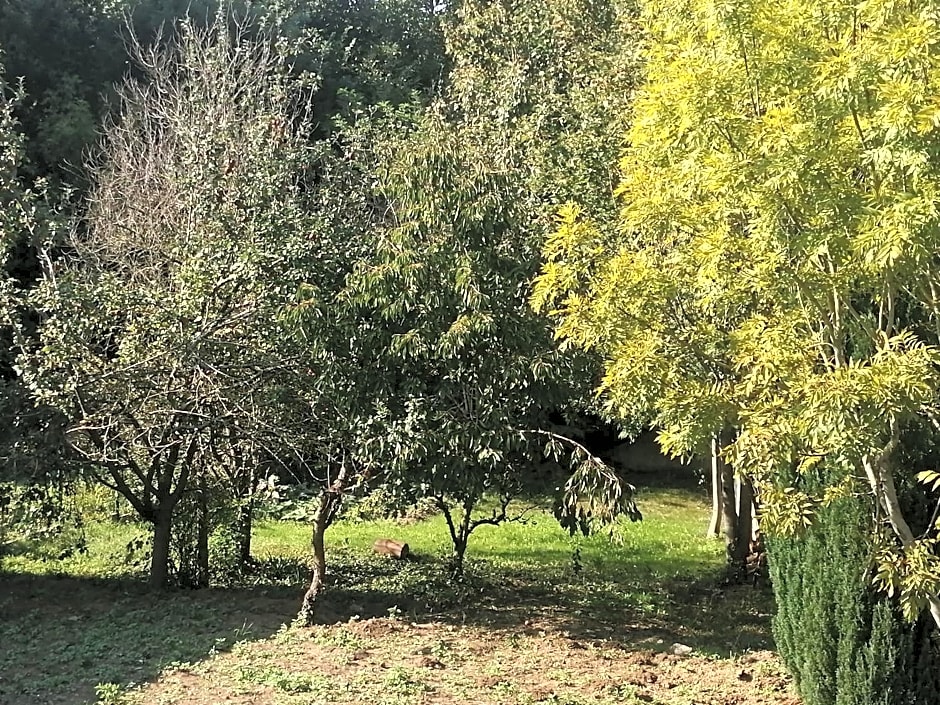 Chambres d'hôtes cosy avec salle de bain privative - Wifi - cuisine partagée - Parking gratuit