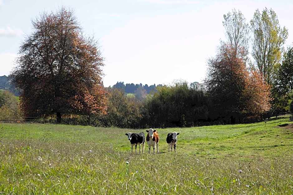Somersal Bed & Breakfast