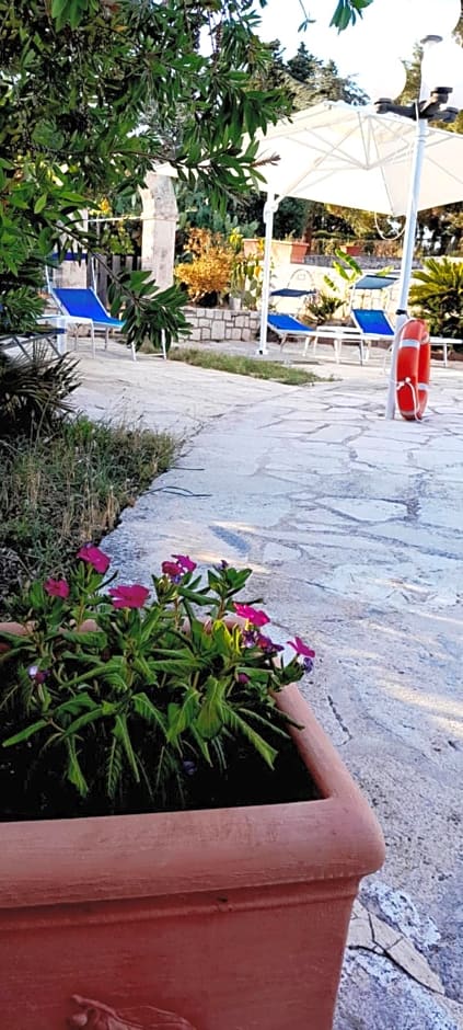 Stars&Stripes – Monopoli, LA