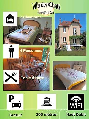 La villa des chats
