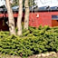 Gemütliches Gästehaus
