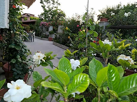 Villa delle rose