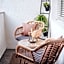Levy's Rooms & Breakfast