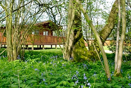 South Winchester Lodges