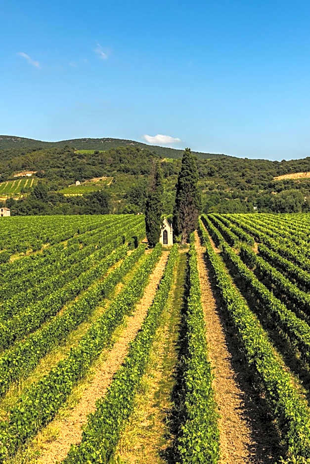 Ecole Olargues - Chambres & restaurant - Teritoria