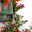 Riad Le J
