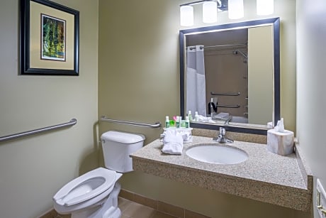 Twin Room - Disability Access Tub