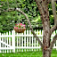 Beautiful Valley Guesthouse