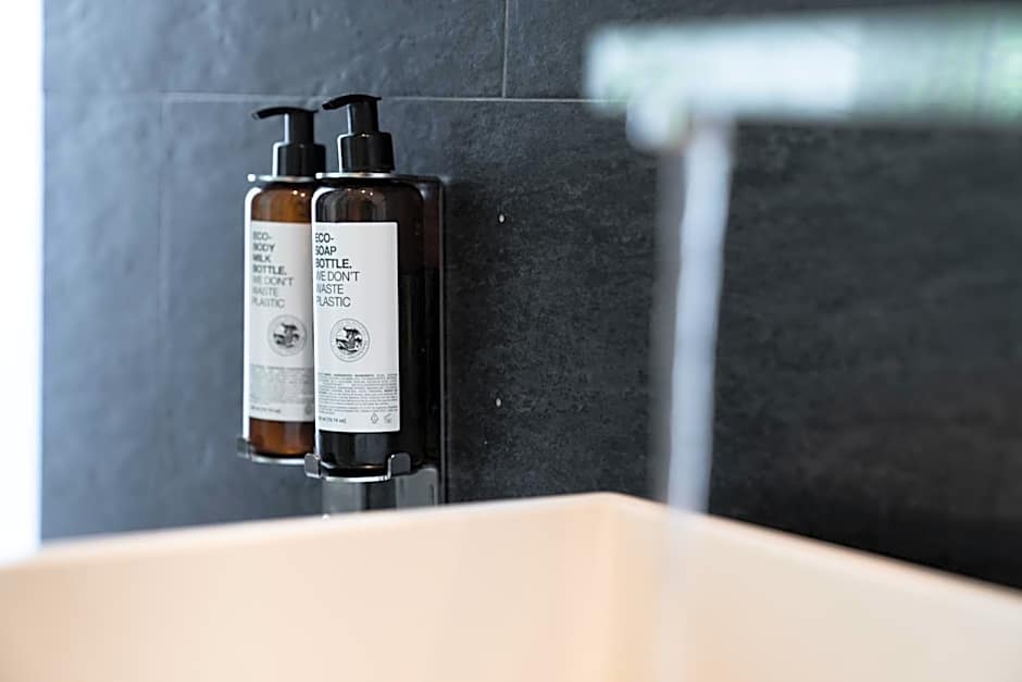 Petit Palace President Castellana